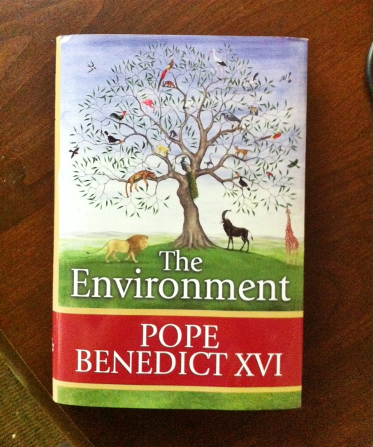 benedict-the-environment