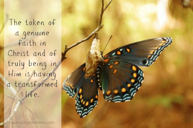The Butterfly: One of my favorite images of what authentic Christianity is